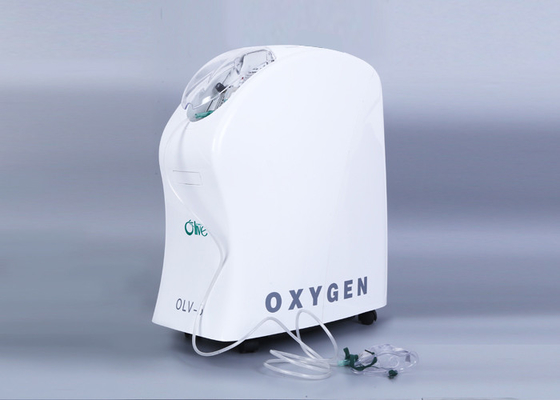 High Purity Dual Oxygen Concentrator , Electric Oxygen Machine Long Life Time