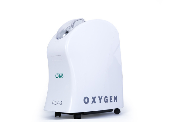 High Oxygen Purity Portable Air Concentrator , Small Portable Oxygen Concentrators